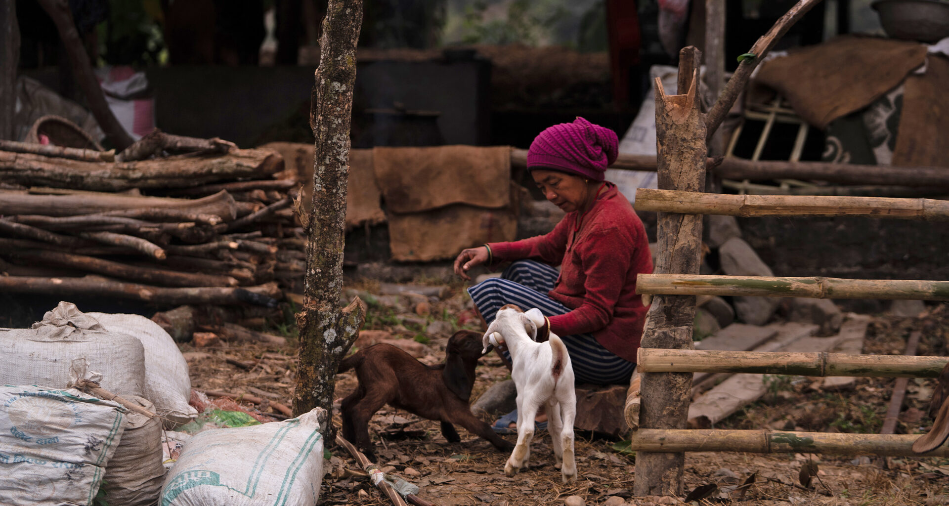Nepal's rural women at increasing risk of human-wildlife conflict