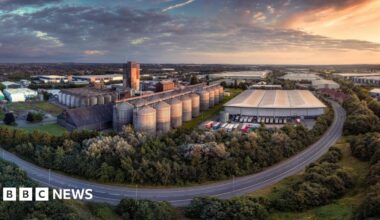 A drone shot of a road circling around an industrial site surrounded by trees during the sunrise.
