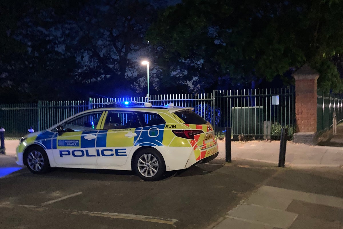 Elthorne Park drowning: Metropolitan Police release more details after mother and son die in water in London park