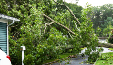 Revealed – loss total from Windstorm Goretti