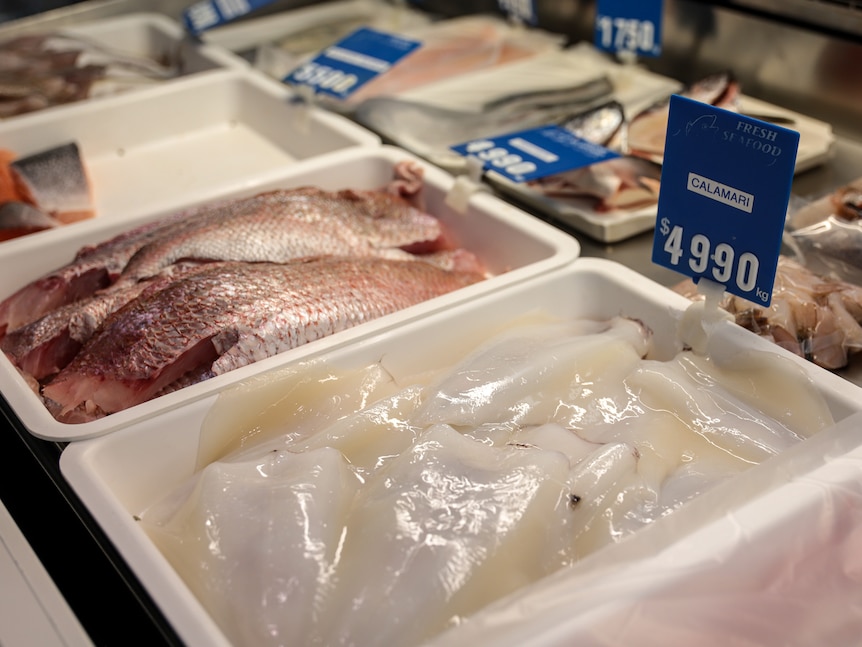 A display cabinet of fresh fish in trays under fluroescent lighting