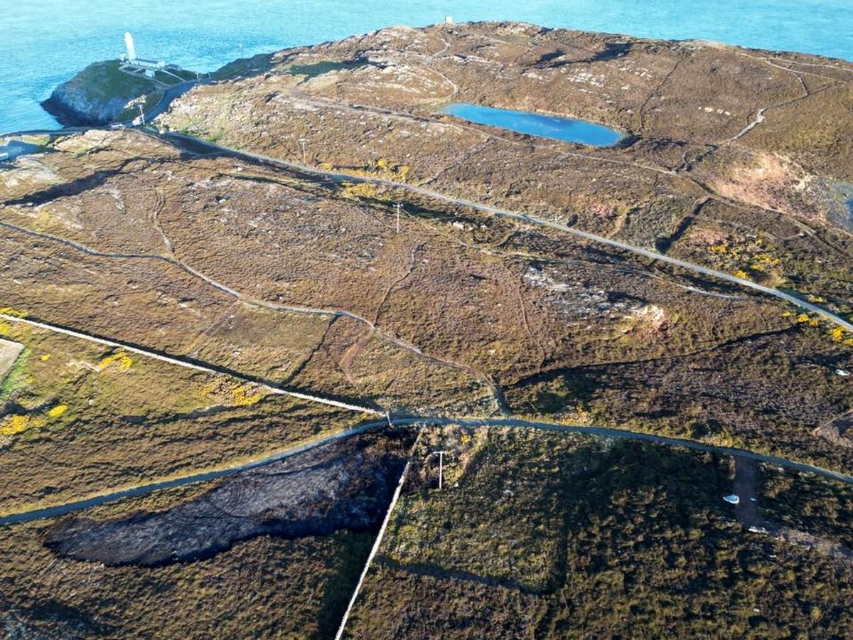 Around 500 sq metres of gorse and bracken were scorched by the blaze. In the distance is South Stack lighthouse, while the RSPB visitor centre is to the left of this image