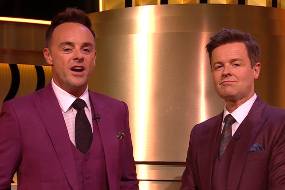 Britain’s Got Talent fans confessed to being rather amused as hosts Ant McPartlin and Dec Donnelly reflected on their recent live TV drama