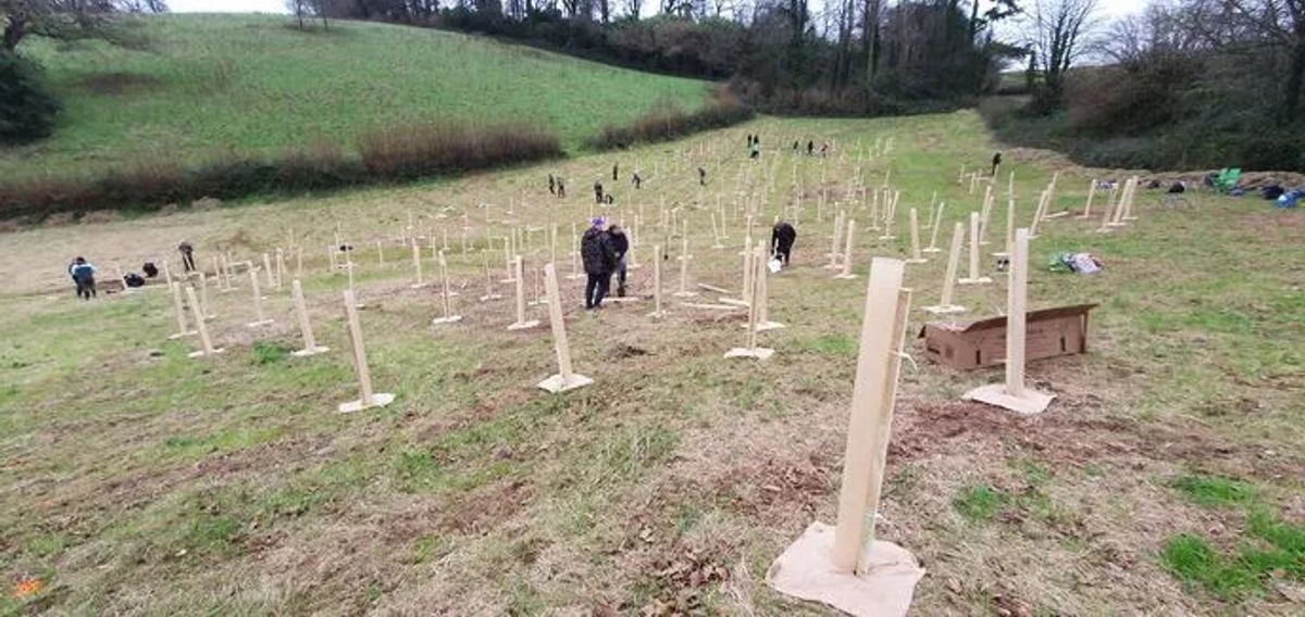 Trust volunteers planting the first trees at Bowden Pillars