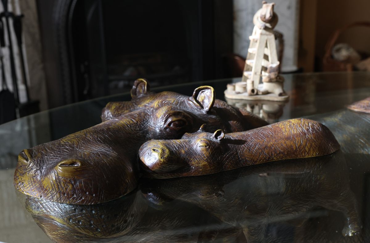 Philip Angier from Alnwick in Northumberland who has been collecting hippo memorabilia for more than 55 years, his collection has grown to more than 1000 individual items. Now Philip has decided to sell his beloved hippos to raise money for The Northumberland Wildlife Trust.