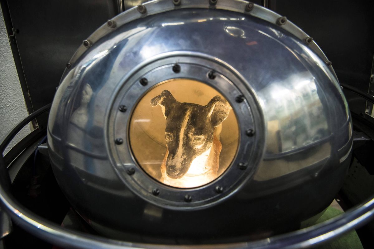 A picture taken on November 1, 2017 shows an effigy of the dog Laika, the first living creature in space, inside a replica of satellite Sputnik II at the Central House of Aviation and Cosmonautics in Moscow