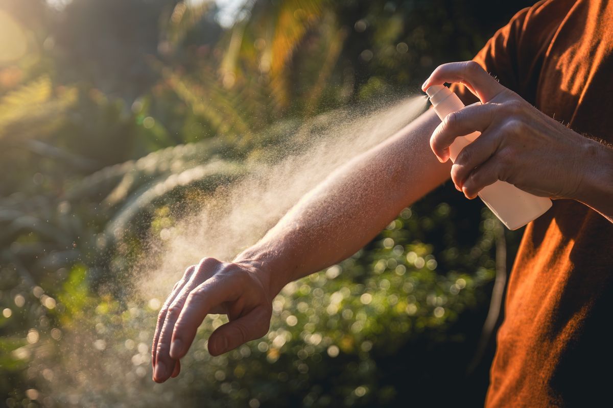 Man while applying insect repellent on his hand. Foreign Office is telling people to take precautions when visiting some countries due to yellow fever outbreaks