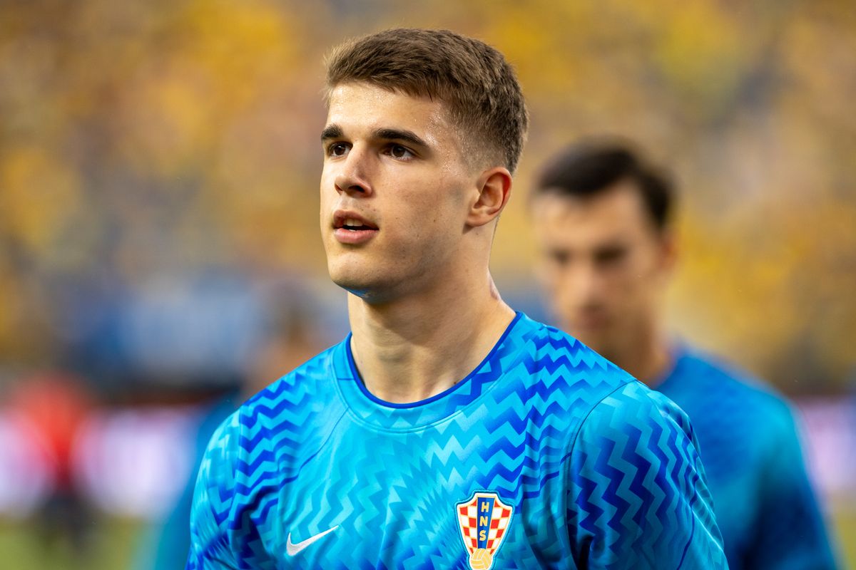 Tottenham defender Luka Vuskovic is currently out with a knee injury at Hamburg