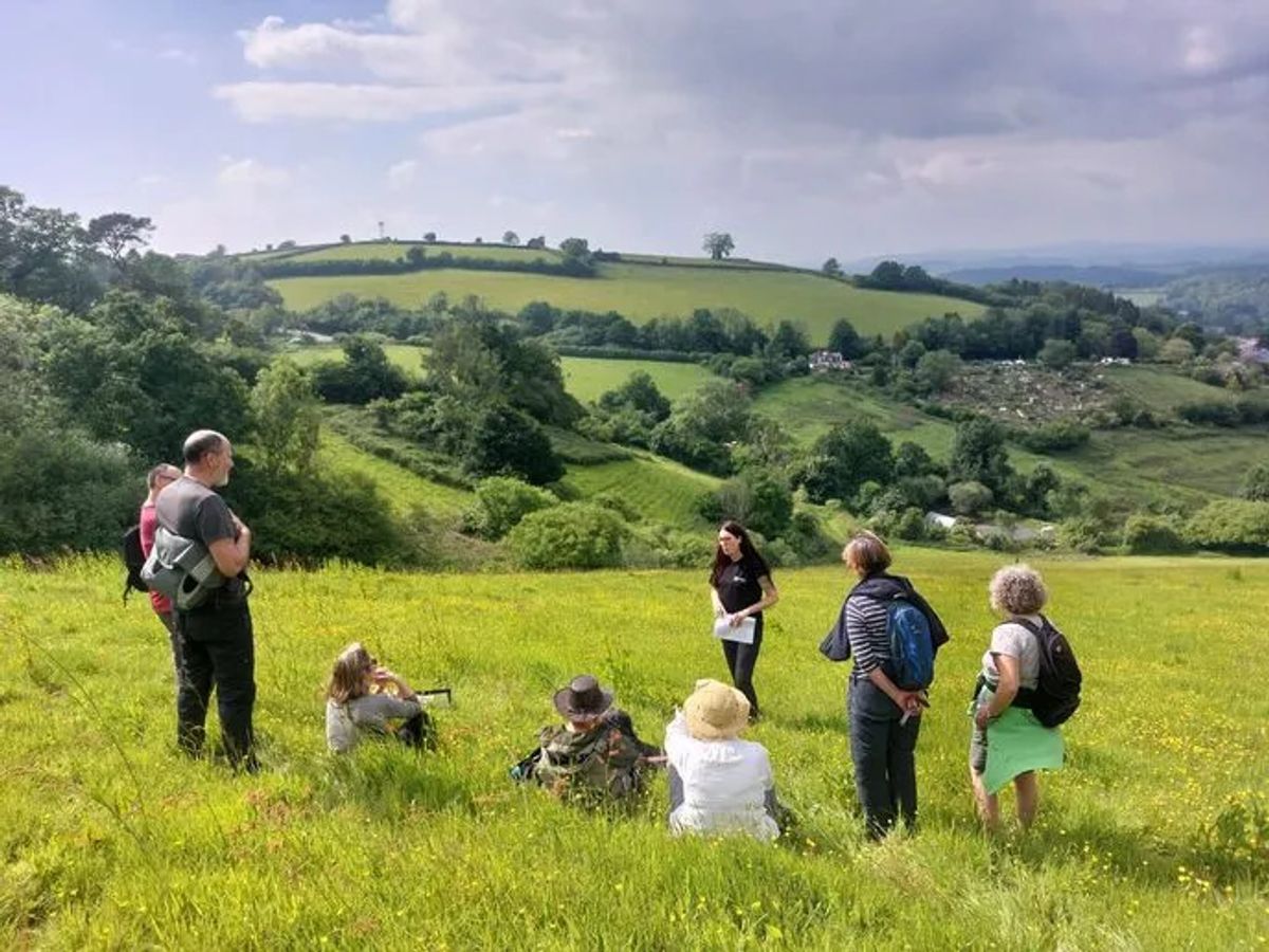 Project leader, Claire Inglis, guiding a group of local visitors around the site of the new temperate rainforest