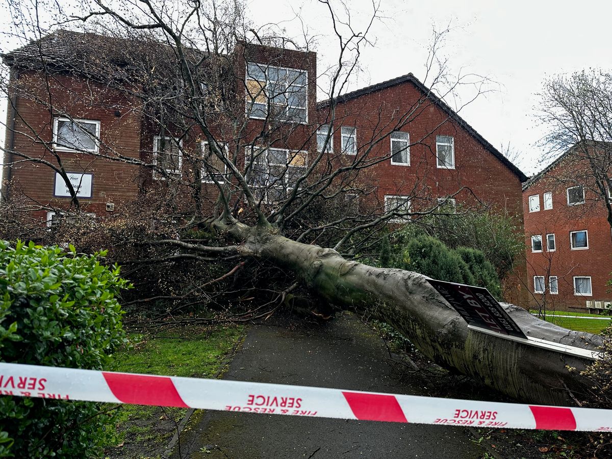 Fallen tree on Heaton Moor Road, Stockport on Easter Sunday