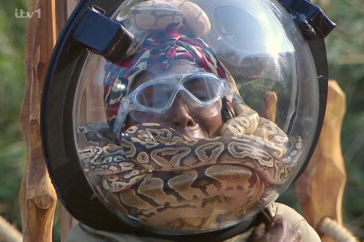 I'm A Celebrity South Africa viewers are convinced the unnecessary cliffhanger on Tuesday night may have cut off the moment where Sinitta will quit her Bushtucker Trial