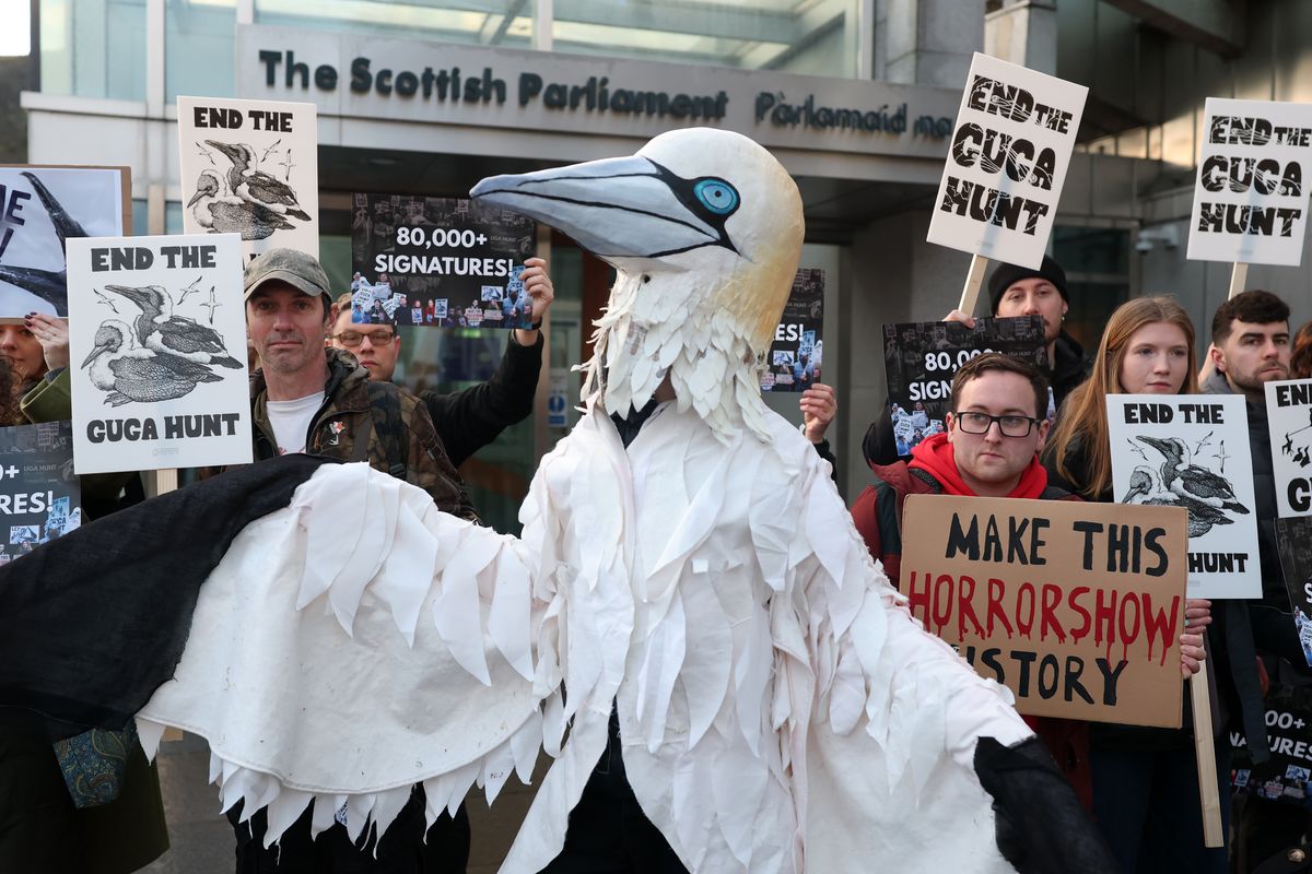 Campaigners gather outside of the Scottish Parliament in protests against the Guga Hunt on January 21, 2026