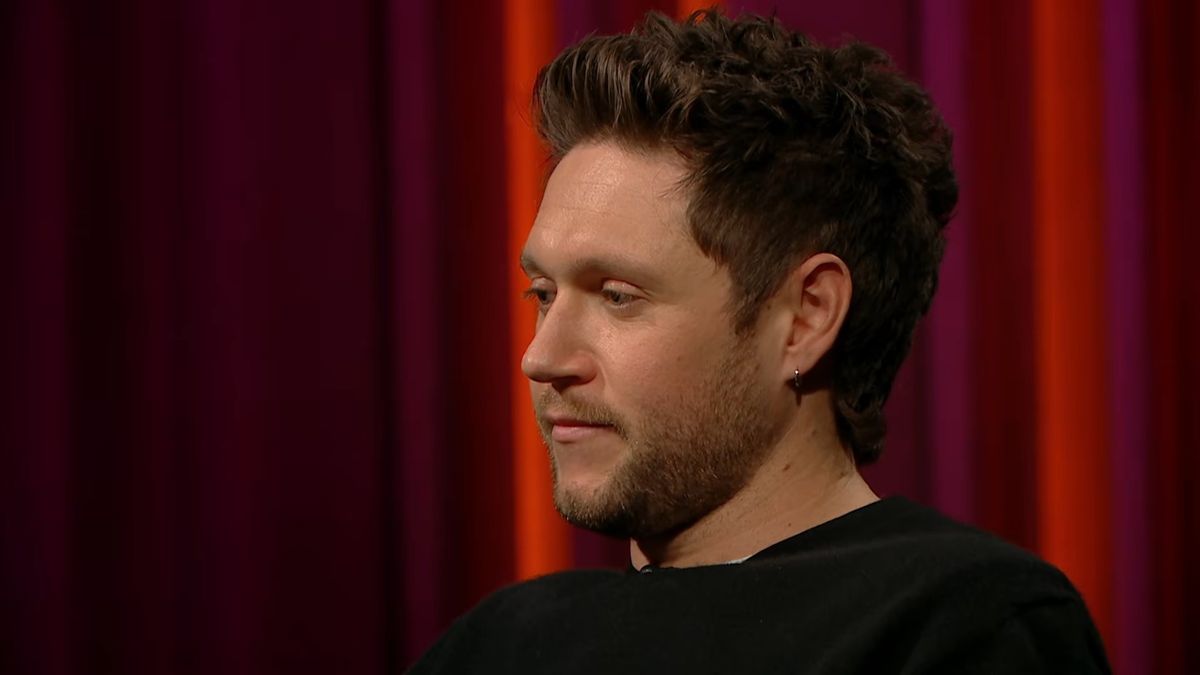 In a new interview, Niall opened up about the constant battle of experiencing grief and the new challenges it brings up