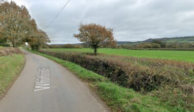 Devon Live