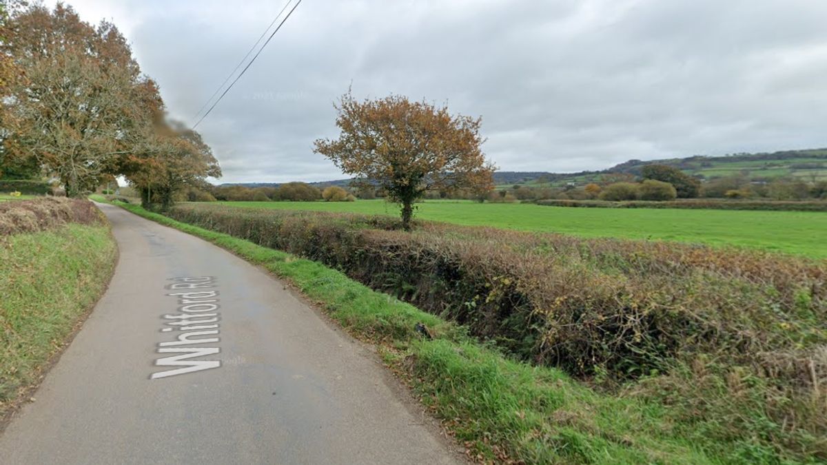 Devon Live
