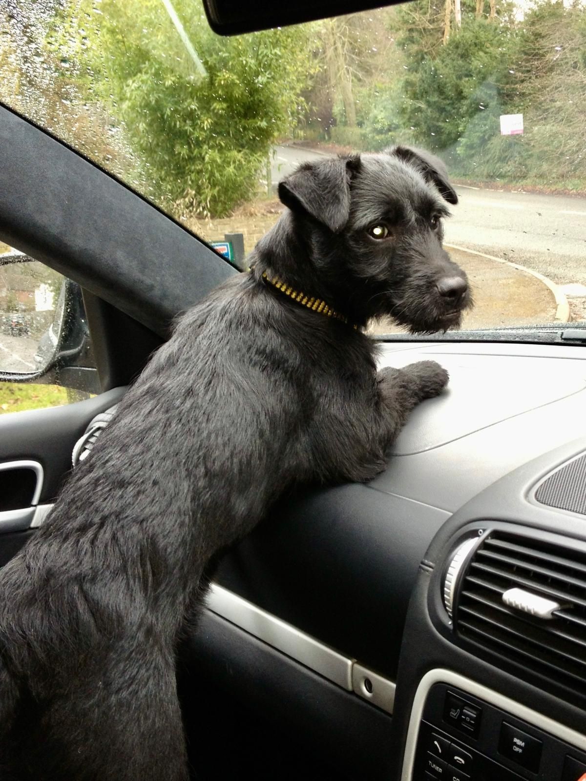 Ted was a fan favourite on BBC's Mortimer and Wise