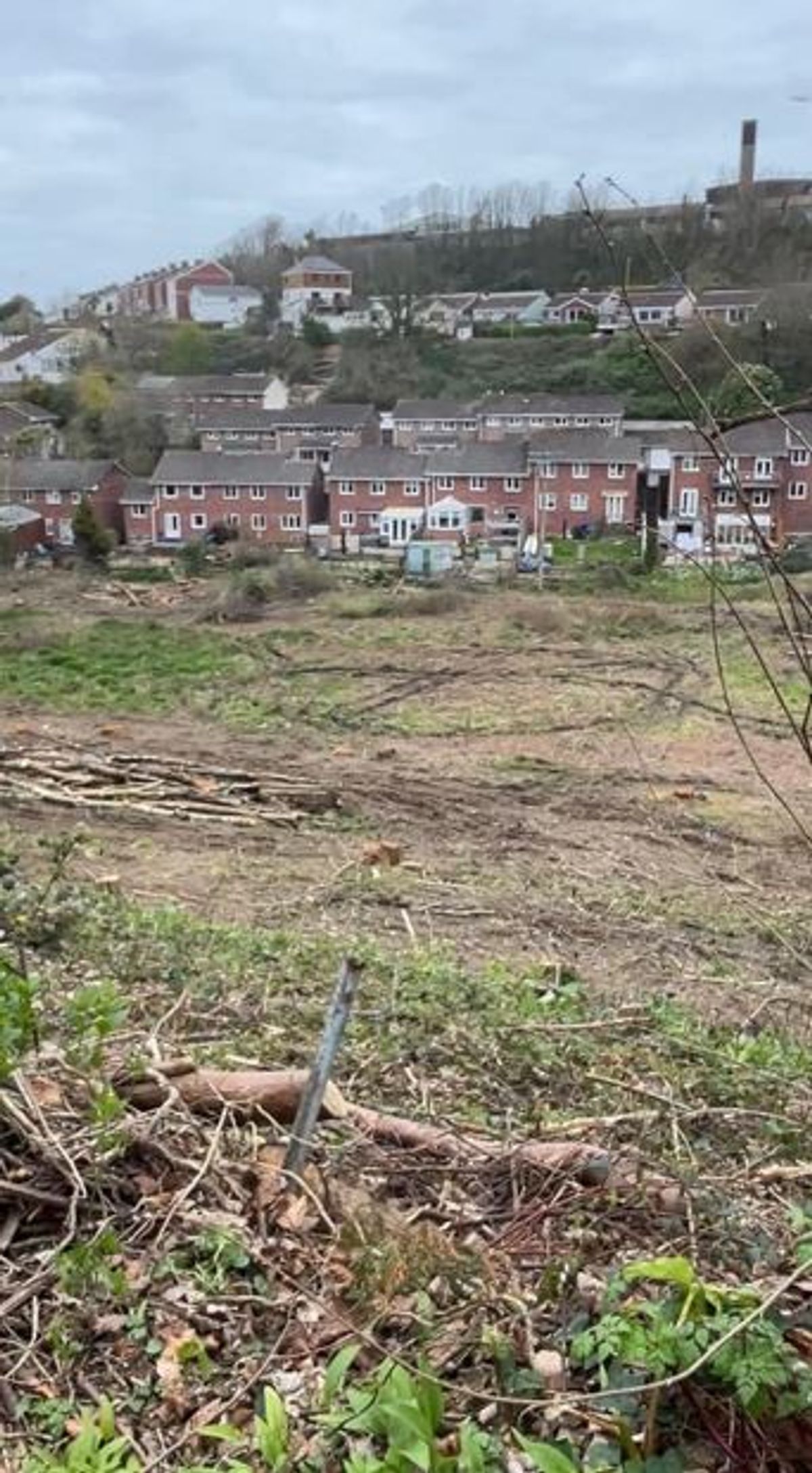 The land at Landleigh after trees and scrub were removed