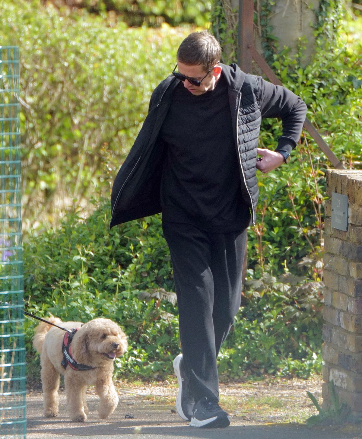 Scott was seen walking his dog