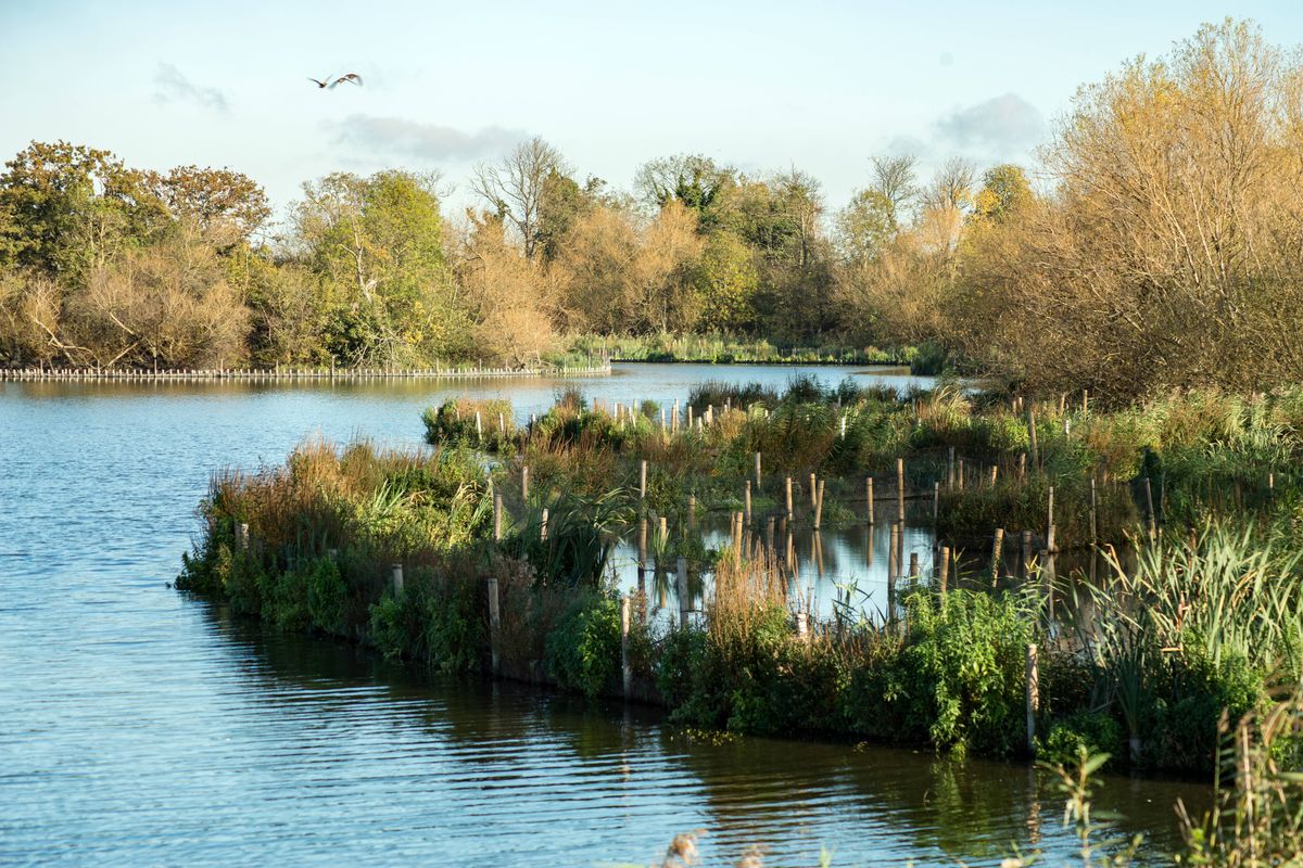 An autumnal view of the newly opened Walthamstow Wetlands in north east London - Europe’s largest urban wetland reserve is free for the public to explore.