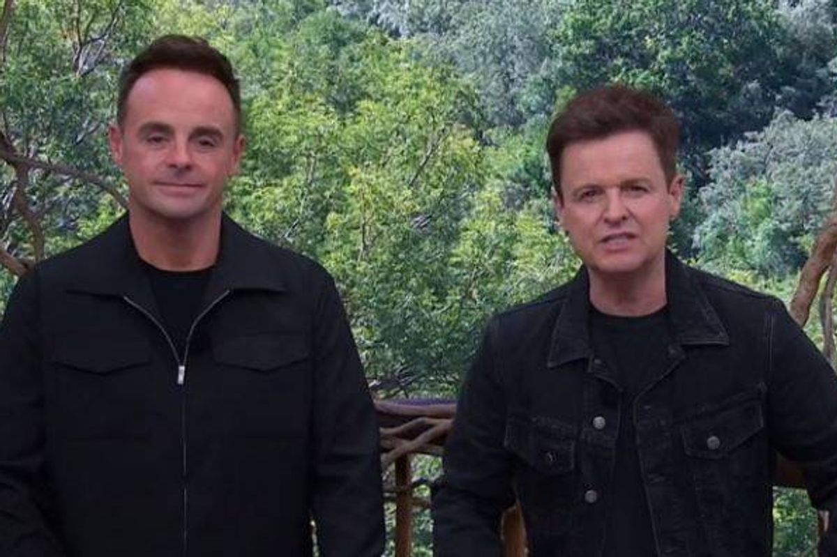 Ant and Dec opened the public vote tonight