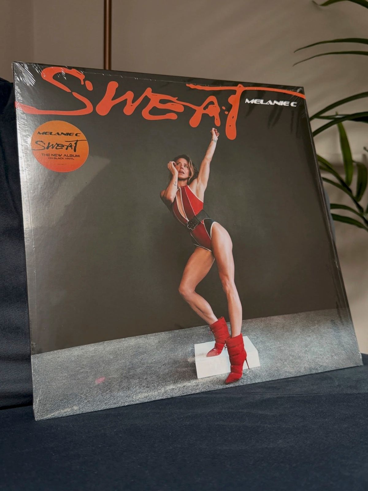 Mel's new look features on her album cover