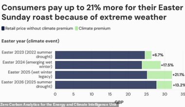 Experts from Zero Carbon Analytics for the Energy and Climate Intelligence Unit (ECIU) have warned that extreme weather has pushed lamb prices up by between seven and 21 per cent