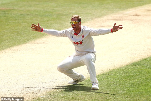 Simon Harmer has been the ultimate import for Essex: loyal, durable and successful