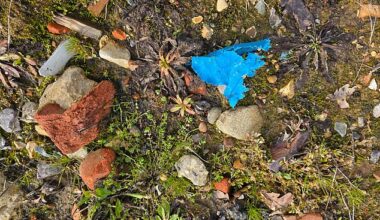 The Royal County of Berkshire Polo Club (RCBPC) in Winkfield has dumped an estimated half a million cubic metres of dirt (pictured, containing waste material) on its grounds since 2013