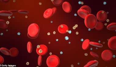 AGEs come into being through a chemical reaction called glycation, which happens when sugars in the bloodstream react with proteins in muscles and organs