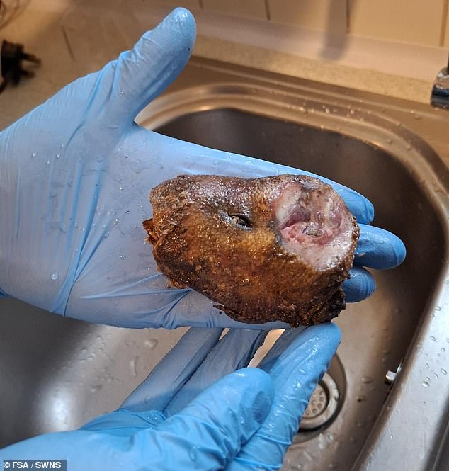 The discovery was made at an address in Peckham, south east London , in a joint investigation by the Met Police and the Food Standards Agency (FSA)