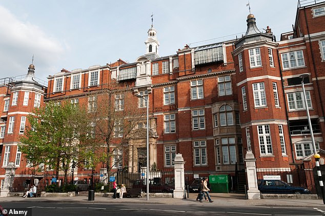Developers argue plans to modernise the Royal Marsden hospital (pictured) in Chelsea are essential to make it 'fit for the future'