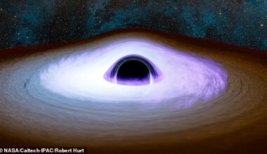 What is dark matter? Elusive substance could be made of black holes from a different UNIVERSE, scientist claims