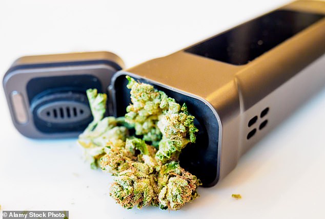 These days, as I make myself a pre-work coffee come 7am, I also reach for my vape... and a few dried buds of cannabis flower