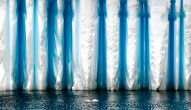 ‘Beautiful but precarious’: Photographer captures Earth’s fragile systems hanging by a thread