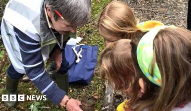 A volunteer in woodland with a pencil behind her ear holds a jar which three young girls are looking into.