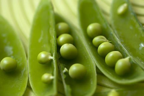 The project should boost pea production