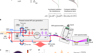 Entanglement and electronic coherence in attosecond molecular photoionization