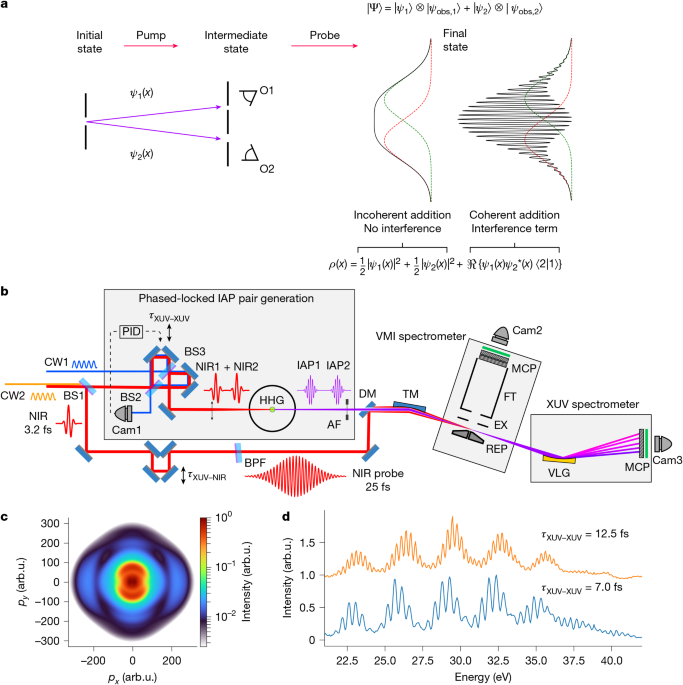 Entanglement and electronic coherence in attosecond molecular photoionization
