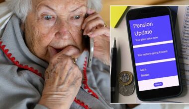 State pension 'mess' unresolved as National Insurance error scheme delayed: 'Frustrating!'