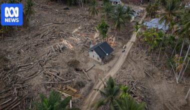 Deforestation and empty promises turn violent storms into deadly disasters