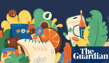 Trying to conceive? Welcome to the worry-filled world of ‘trimester zero’ | Pregnancy