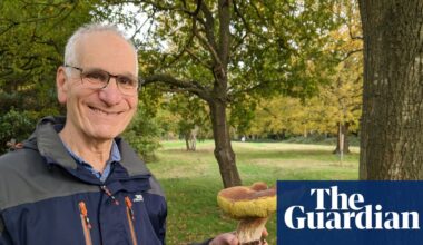 Robin Weiss obituary | Medical research