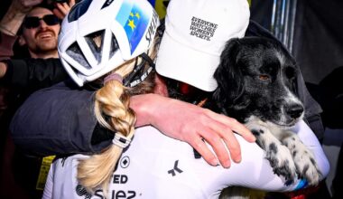 Not all sunshine, but at least there's a cute dog in the feature image