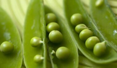 Pea trials aim to tackle costly UK virus losses | News