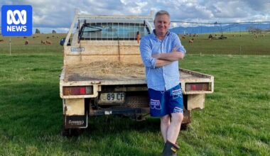 Three Tasmanian MPs share their experiences with mental health and politics