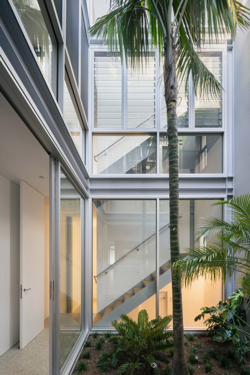 A courtyard with a palm tree in the centre of the house