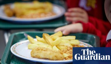 Fried nuggets and steamed sponges off menu in school food overhaul in England | School meals