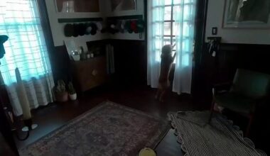 Artemis II astronaut Christina Koch reunites with dog post-splashdown - Fox News