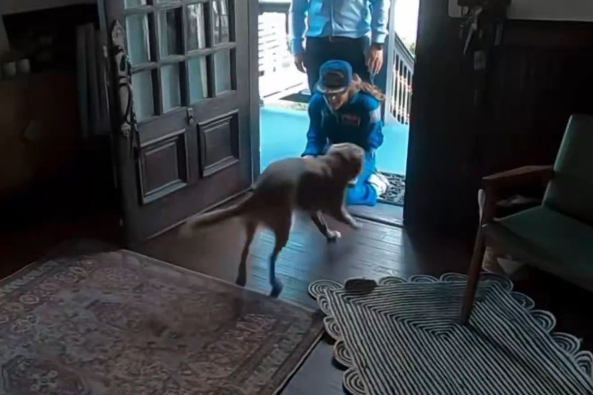 Christina Koch was greeted by her dog Sadie upon returning from space