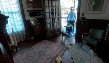 Video Player Placeholder